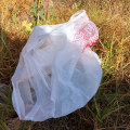 Why did california ban plastic bags?