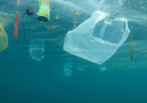 Why did they ban plastic bags?