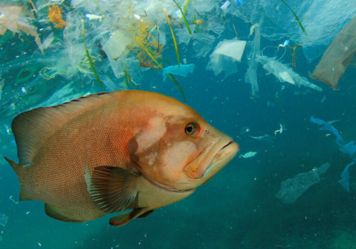 How are plastic bags harmful to human health?