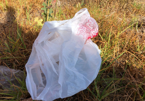 Why did california ban plastic bags?