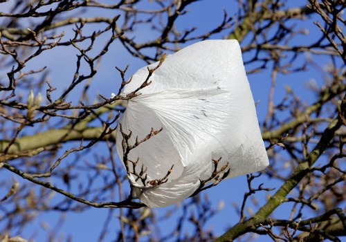 What material should plastic bags be replaced with?